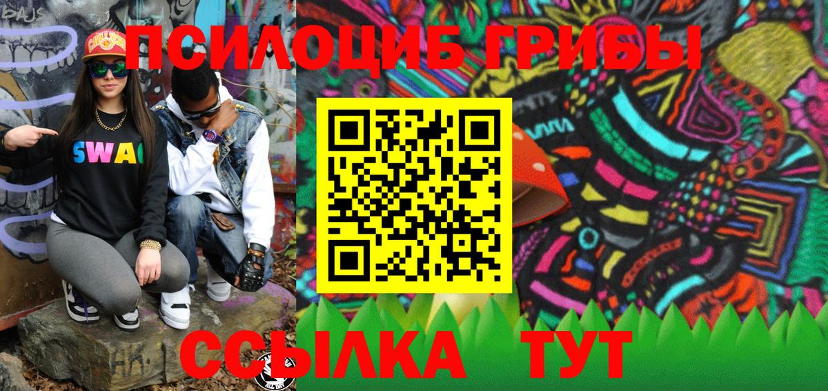 Псилоцибиновые грибы Cubensis Моздок