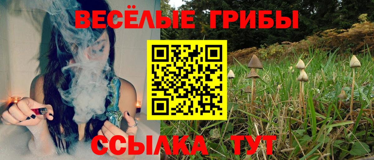 Псилоцибиновые грибы MAGIC MUSHROOMS  Псилоцибиновые грибы мухоморы  Вход с VPN  Моздок 